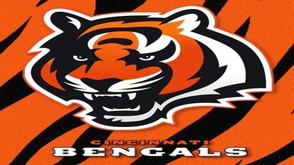 Nanalo ang Cincinnati Bengals UNDER 11.5 (-135)